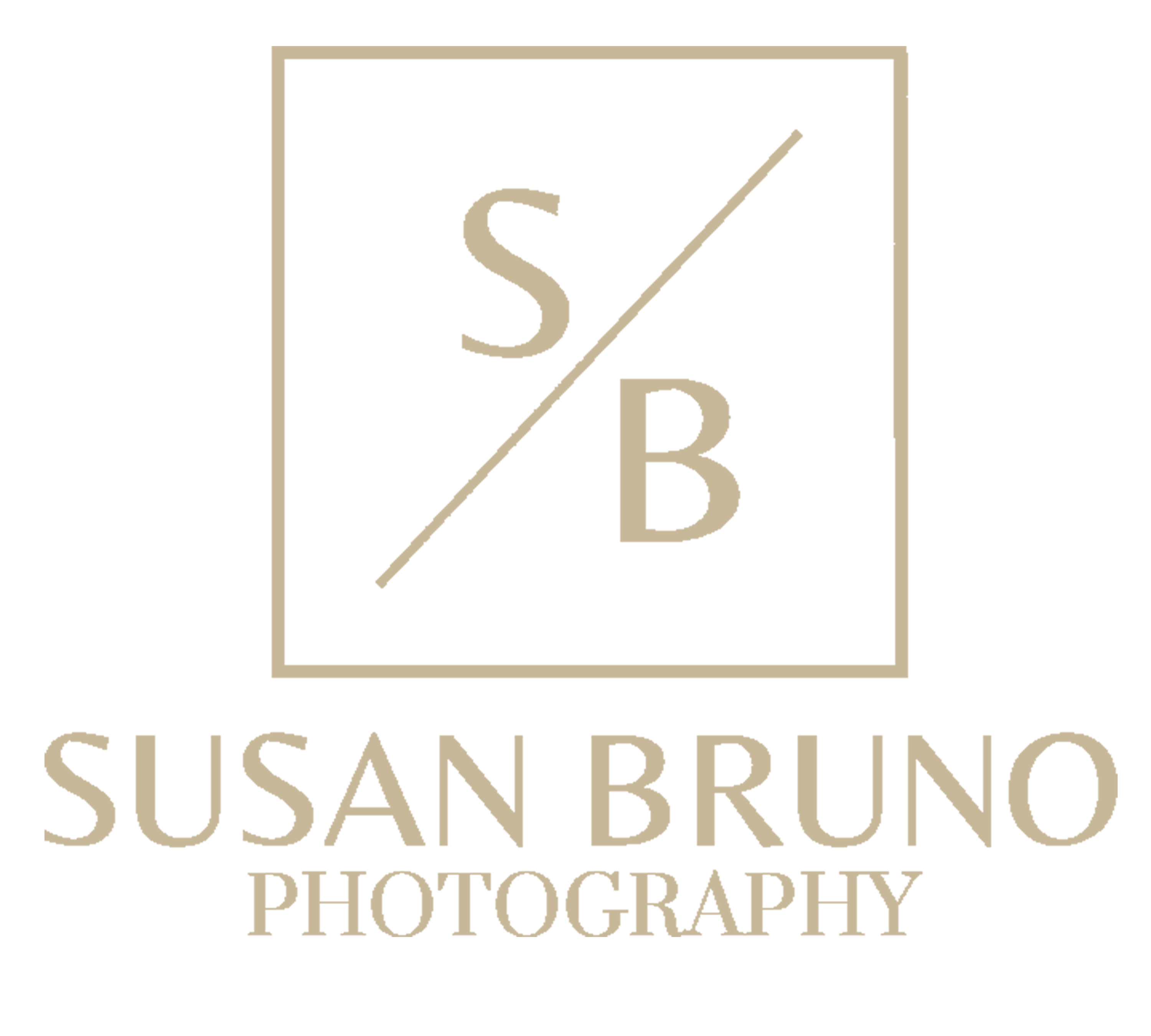 Susan Bruno | Birmingham AL Professional Photographer